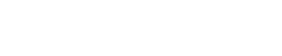 Enfusion